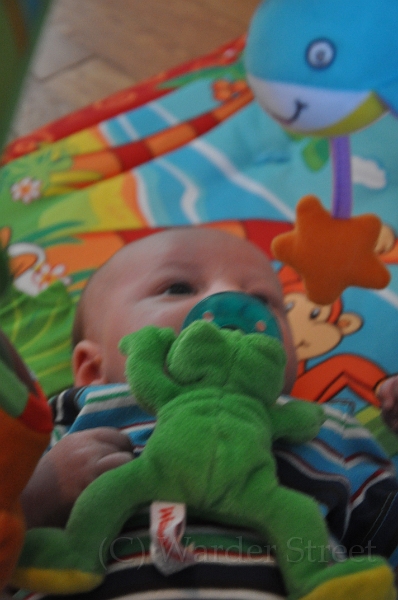 William's Fifth Week 06.jpg